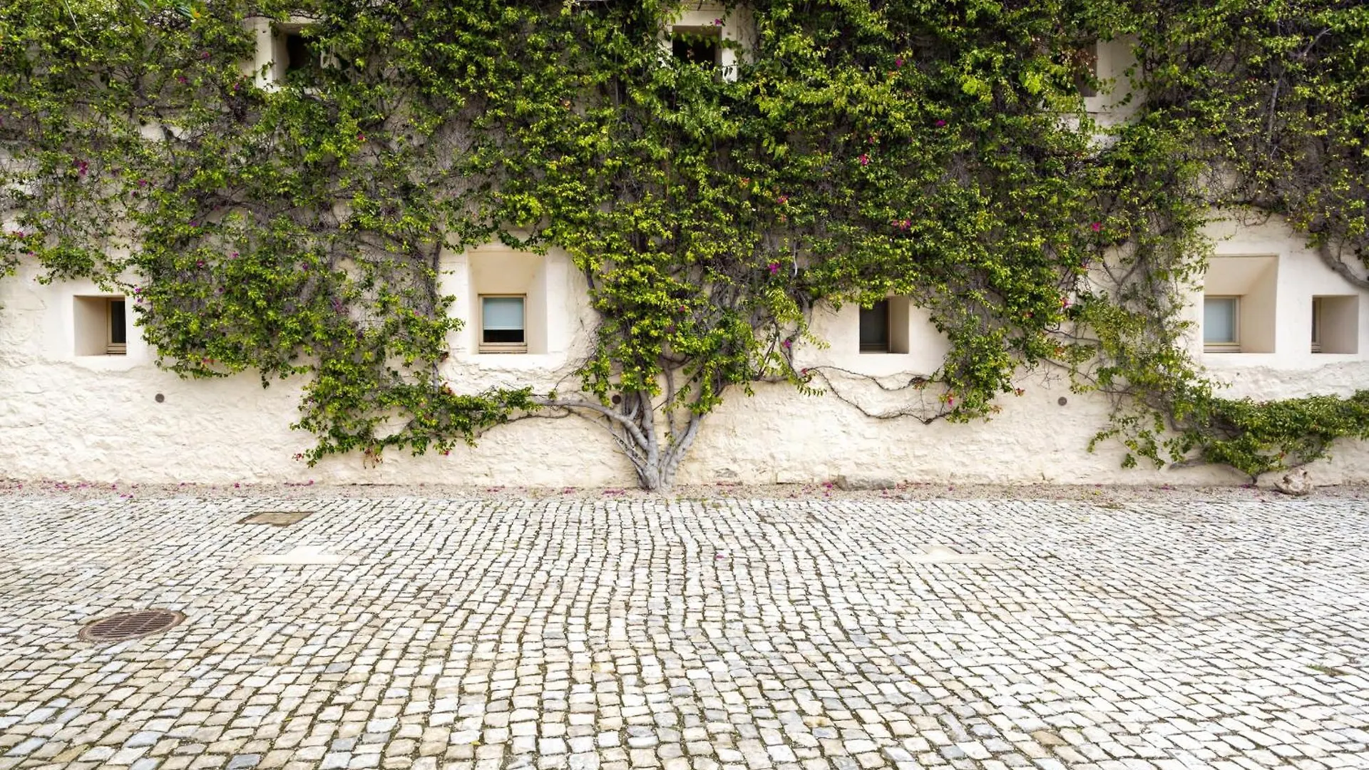 アパート Convento Das Bernardas By My Choice タヴィラ